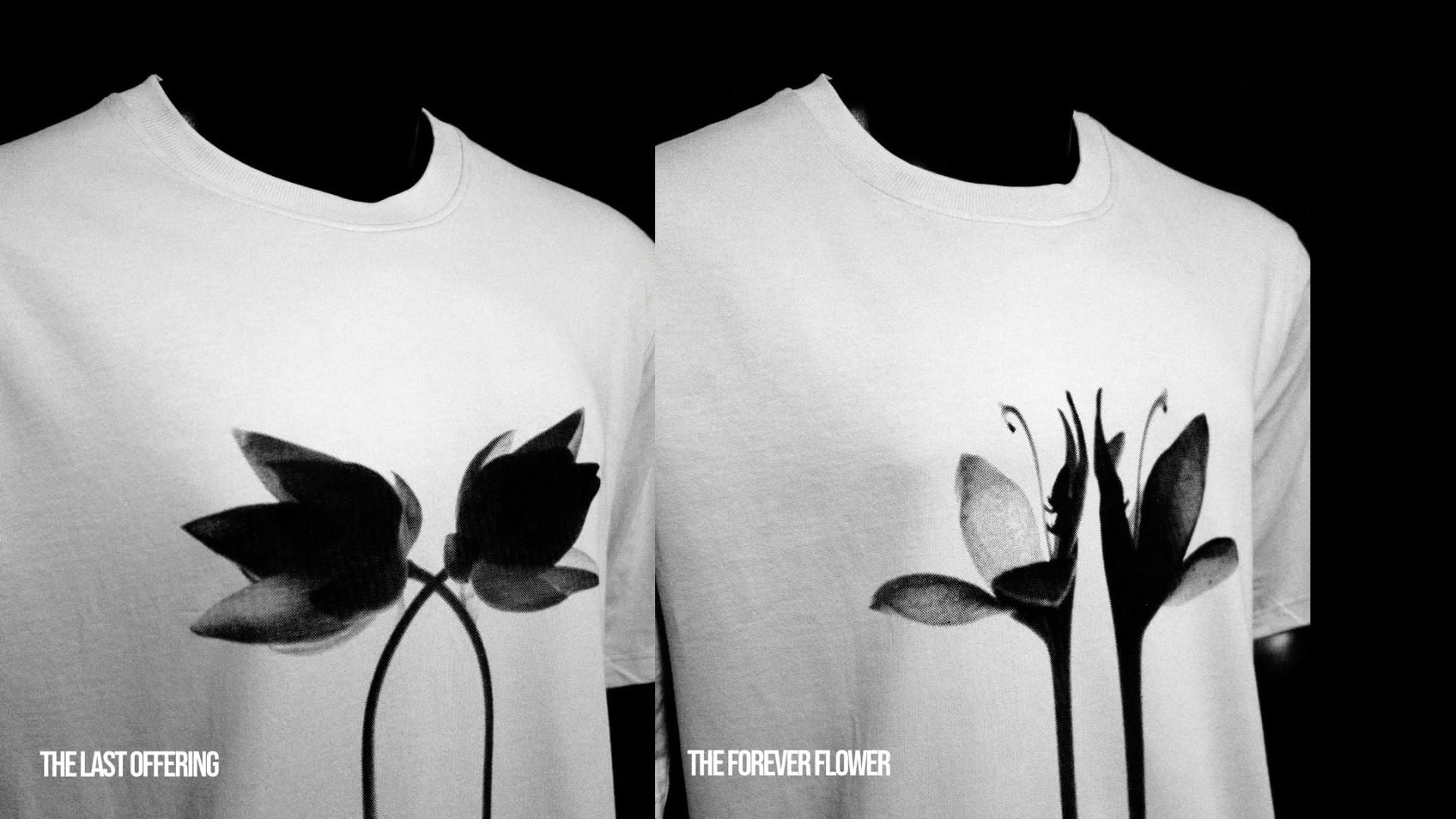 Buy | Best Oversized T-Shirts for Men Online in India | Oversized T-Shirts | Adel&Vida!